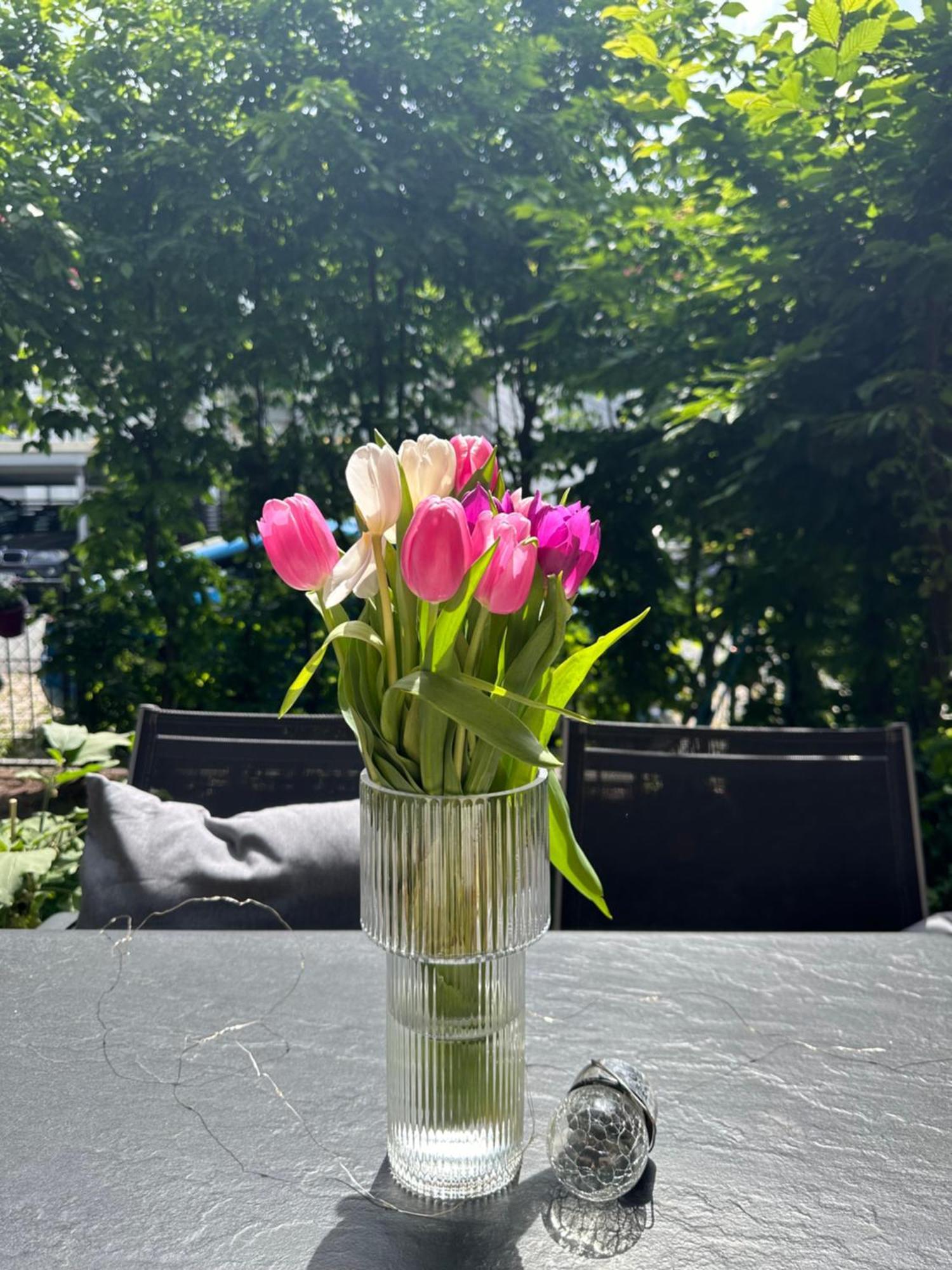 Luxus I Wohnkueche I Garten I Terrasse I Parkplatz Fürth Extérieur photo